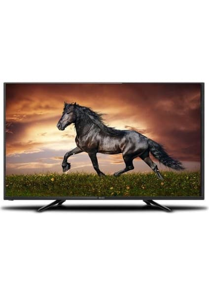 Quax Q40GZT5000AND 40" 101 Ekran Uydu Alıcılı Full HD Smart LED TV