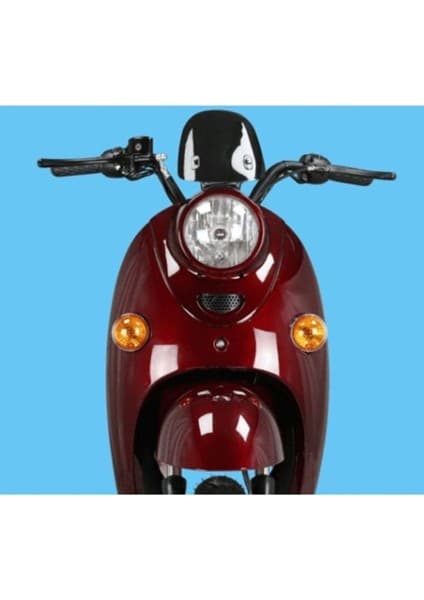 Volta VS26 Akülü Elektrikli Motosiklet 8