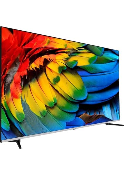 Regal 55R66QA11 55" 139 Ekran Dahili Uydu Alıcılı 4K Ultra HD Smart LED TV 7