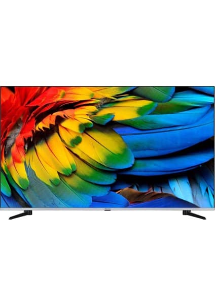 Regal 55R66QA11 55" 139 Ekran Dahili Uydu Alıcılı 4K Ultra HD Smart LED TV