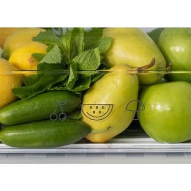 Regal St 37022 Yeşil 340 Lt Çift Kapılı Buzdolabı 8