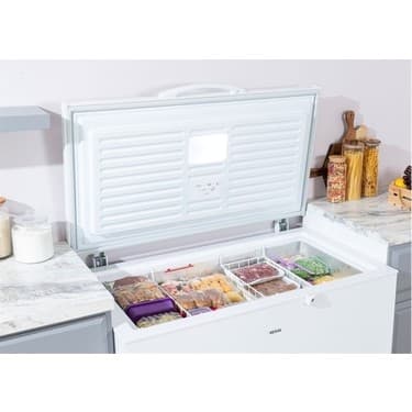 Regal Sd Dual 3020 E Enerji Sınıfı 268 lt Sandık Tipi Derin Dondurucu 4