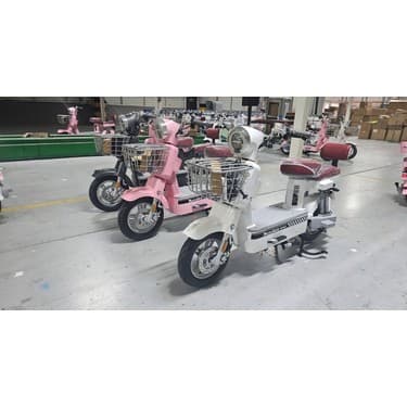 Motolüx Go 55 Elektrikli Motosiklet 800W 48V-20AH - Mondimotor 2