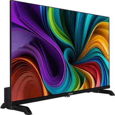 Regal 24NS900 24 '' Uydu Alıcılı HD Ready TV 2