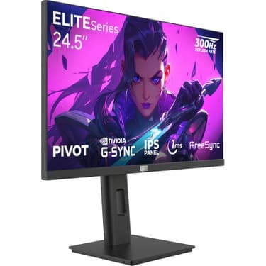 Dragos Elıteseries E245FHD300 1ms Fhd 300Hz 1920x1080 24.5" Freesync G-Sync IPS Pivot Oyuncu Monitörü 2