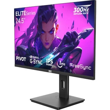 Dragos Elıteseries E245FHD300 1ms Fhd 300Hz 1920x1080 24.5" Freesync G-Sync IPS Pivot Oyuncu Monitörü 3