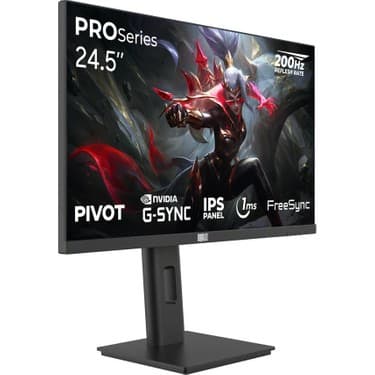 Dragos Proseries P245FHD200 24.5" 1ms Full HD IPS Oyuncu Monitörü (Freesync, G-Sync, Pivot) 2