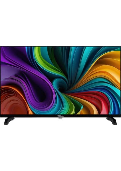 Regal 24NS900 24 '' Uydu Alıcılı HD Ready TV