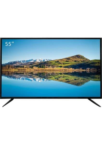 OneTech 55'' Profesyonel LED Monitör | Hdmı VGA USB Rca Hoparlörlü Kumanda 5ms Duvara Montaj LSD-C43A-EX