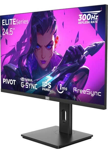 Dragos Elıteseries E245FHD300 1ms Fhd 300Hz 1920x1080 24.5" Freesync G-Sync IPS Pivot Oyuncu Monitörü 8