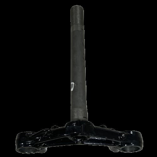 Tvs Raider 125 Maşa Orjinal - Resim 1