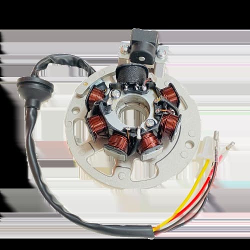 BWS 100 STATÖR TWOM 6 KABLOLU - Resim 1