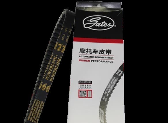 LX200 KAYIŞ GATES - Resim 1