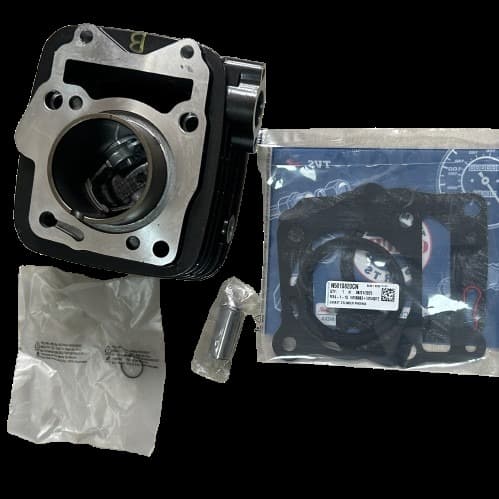 Tvs Raider 125 Silindir Piston Sekman Seti Orjinal - Resim 1
